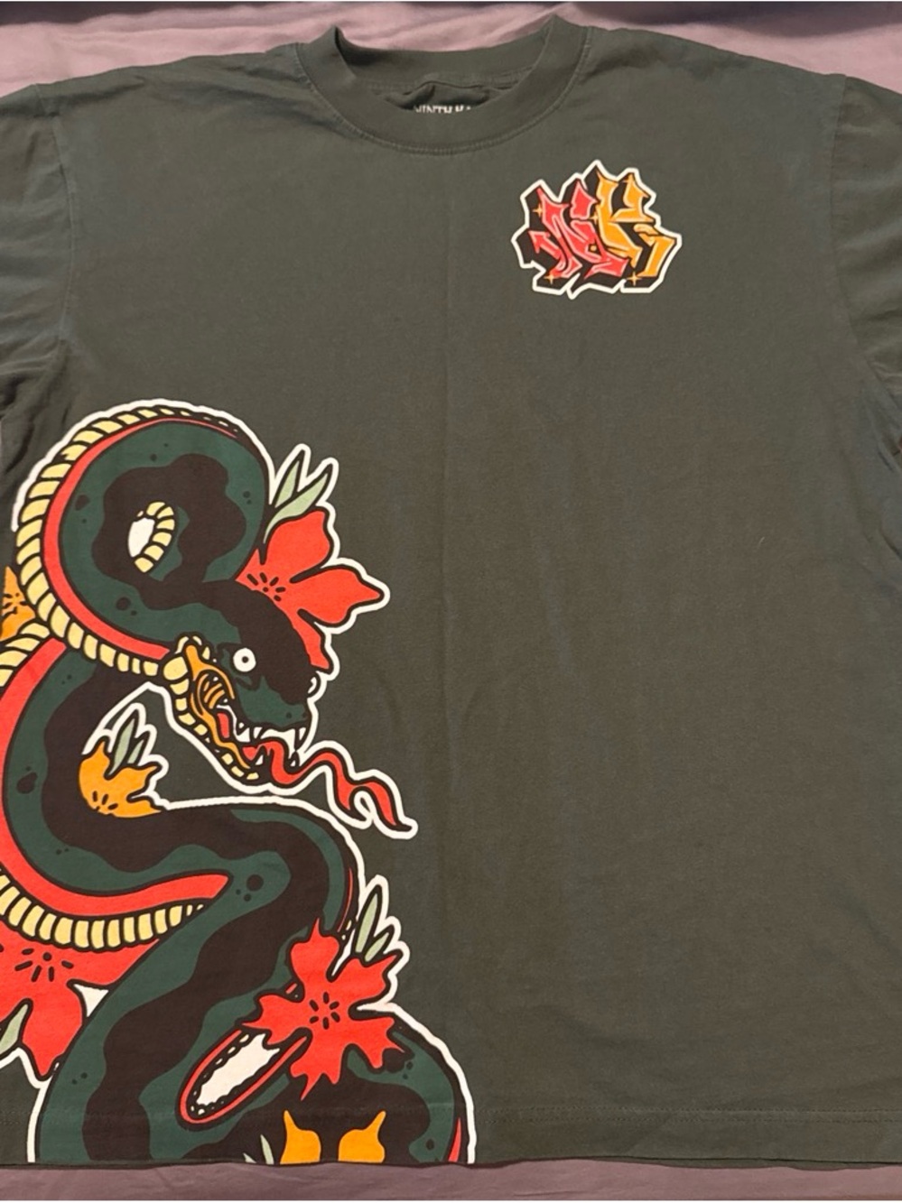 Men's Black Short Sleeve Graphic Tee with Snake Print